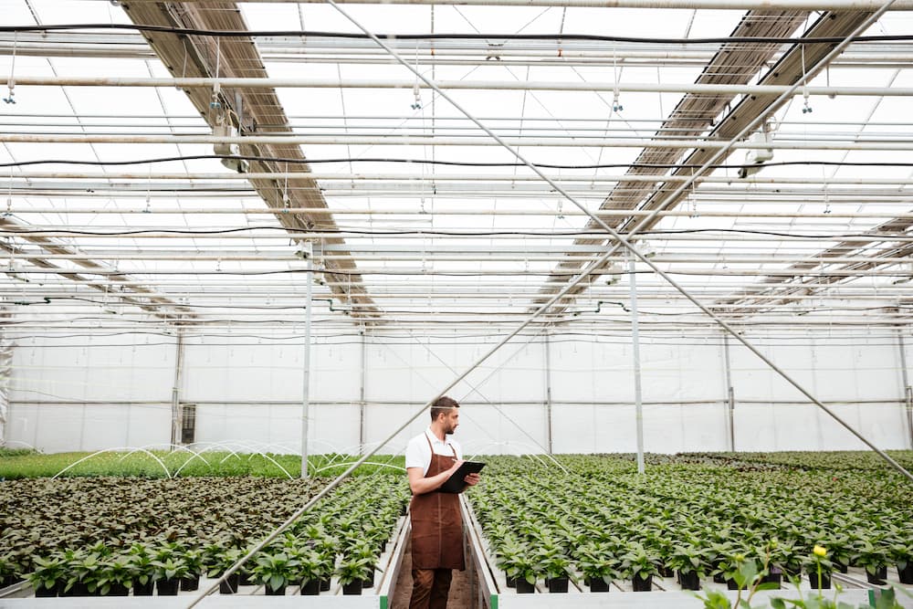 工業平板電腦廠家助力荷蘭花卉產業向智能轉型升級